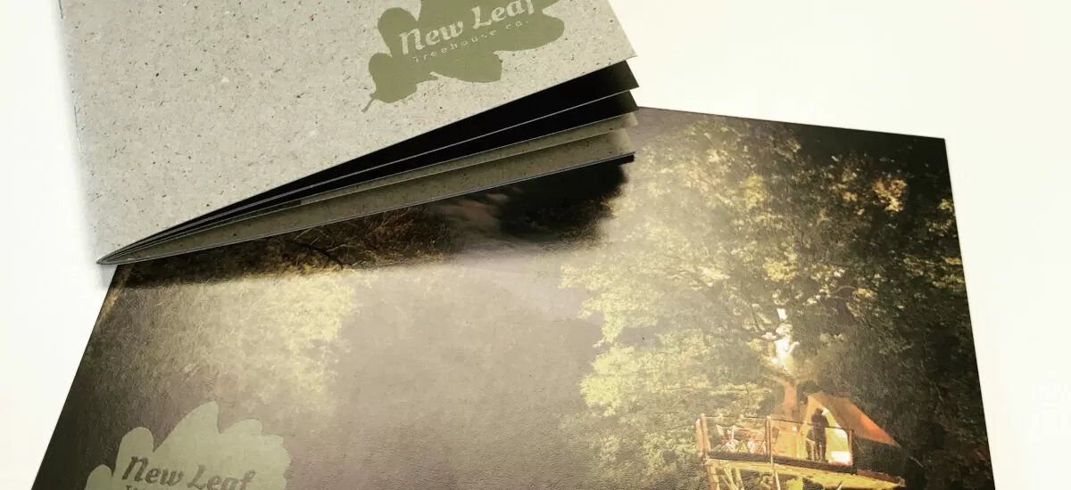 New Leaf Eco Printing