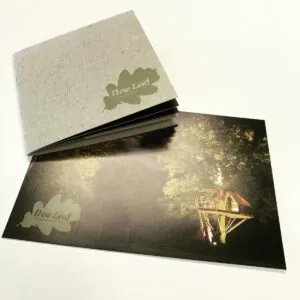 New Leaf Eco Printing