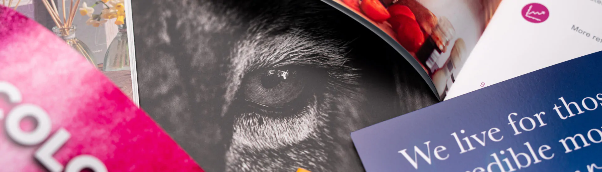 A collection of prints